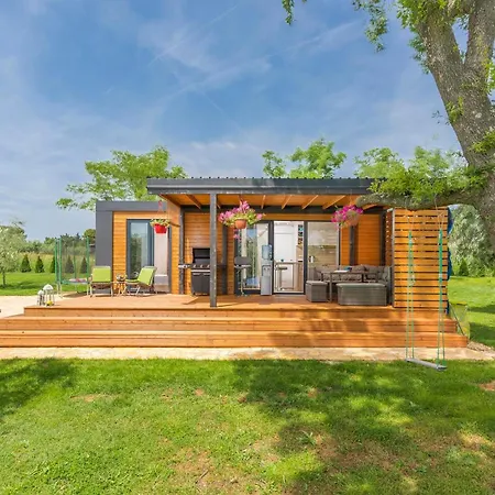 Ive & Beta, Olive Grove, Sea, Swimming Pool, Jacuzzi, Fenced Yard, Barbecue - Istria Feriehus