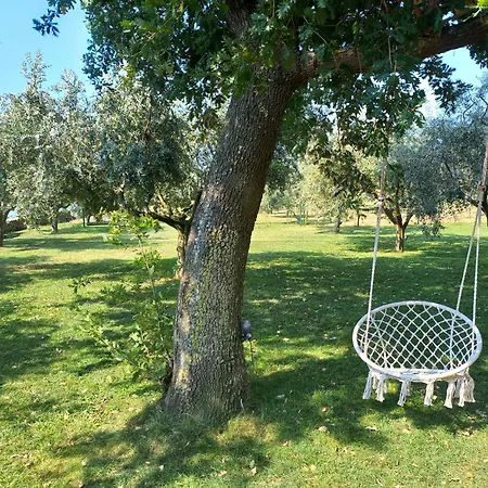 Ive & Beta, Olive Grove, Sea, Swimming Pool, Jacuzzi, Fenced Yard, Barbecue - Istria פולה