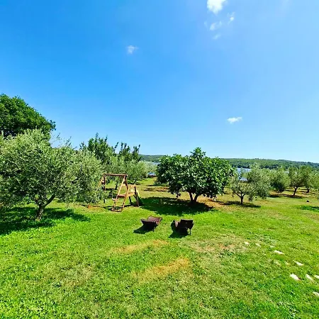 Ive & Beta, Olive Grove, Sea, Swimming Pool, Jacuzzi, Fenced Yard, Barbecue - Istria בית נופש *
